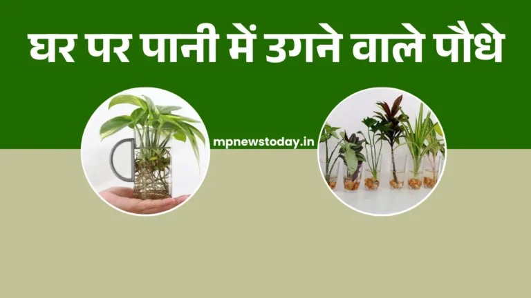 Plants that Grow in Water: