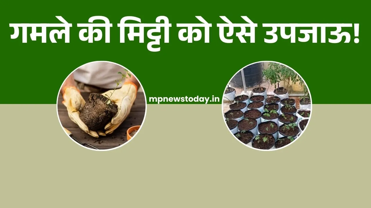 Gamle Ki Mitti