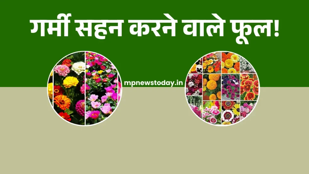 Heat Tolerant Flower