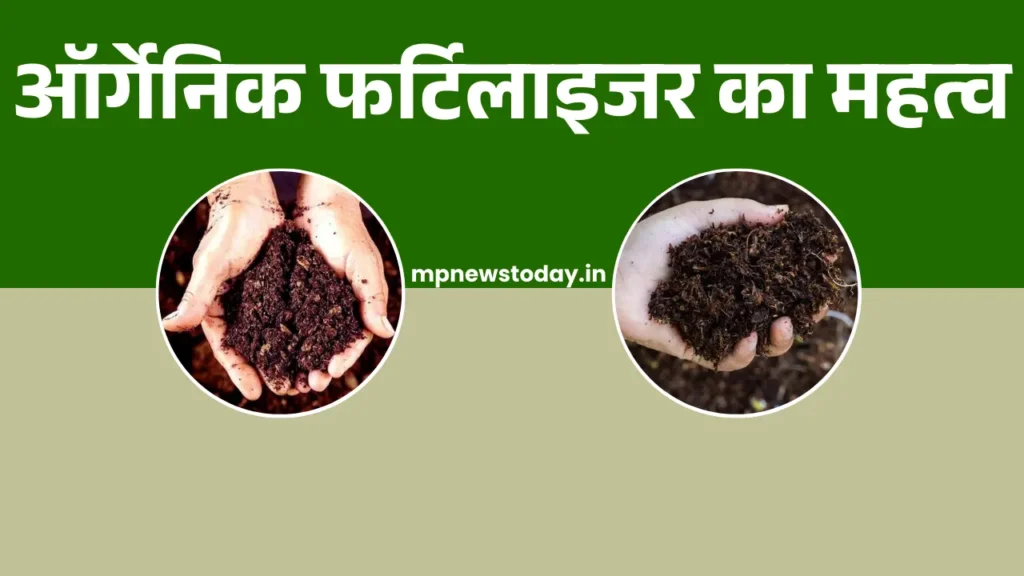Importance Of Organic Fertilizers