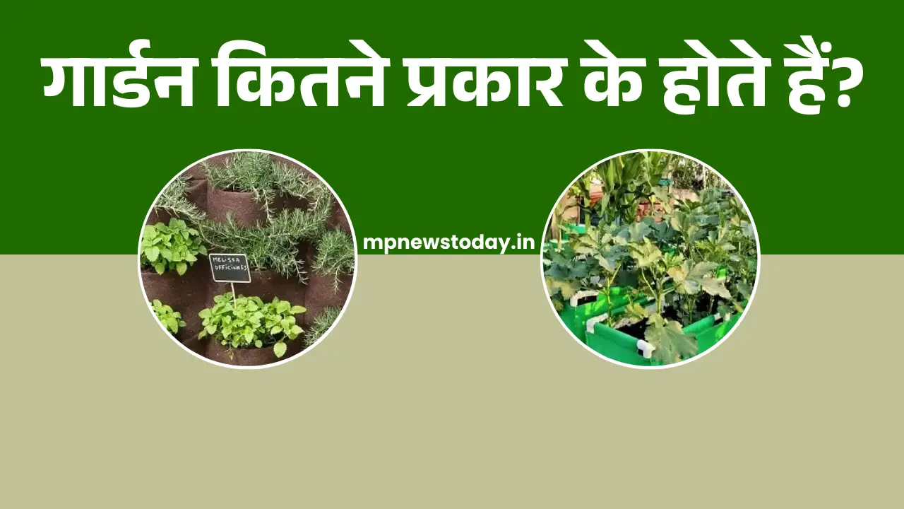 Types of Garden